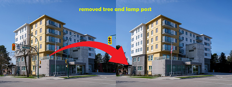 remove light and tree from building outside